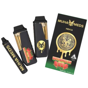 WATERMELON OG 2G DISPOSABLE