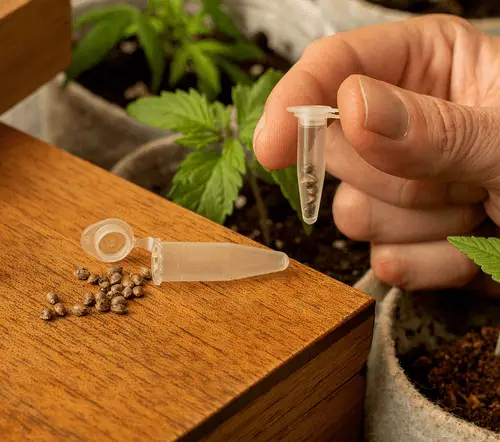 66ce2e69051a8aa63db334e2_About-01-1080-p-500-1